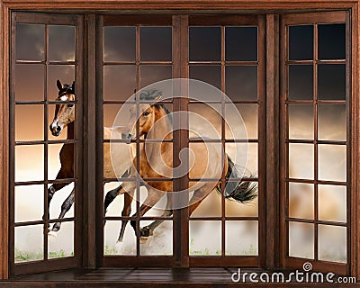 3d wallpaper, Horses running, 3D window view decal wall sticker Stock Photo