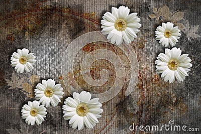 3d wallpaper textere, white chamomiles on abstract canvas textures. Stock Photo