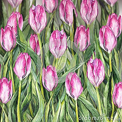 3D watercolor flower floral pink tulip garden flowerbed nature pattern background texture Stock Photo