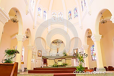 Da Lat Cathedral chicken Church Editorial Stock Photo