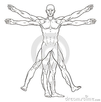 Da Vinci Style Vitruvian Man Vector Illustration