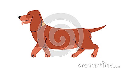 Dachshund, cute Wiener sausage dog profile. Funny companion doggy, pup side view. Adorable short puppy, canine animal Vector Illustration