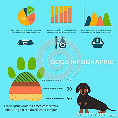 Dachshund dog playing infographic vector elements set flat style symbols puppy domestic animal illustration Vector Illustration