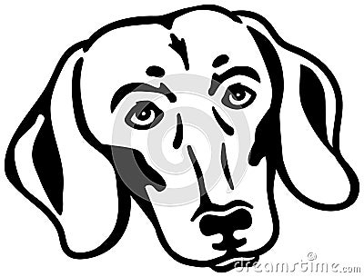 Dachshund head black white Vector Illustration