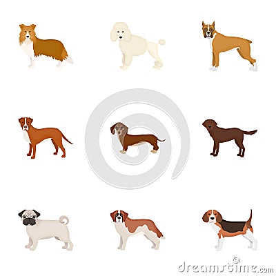 Dachshund, laika, poodle and other web icon in cartoon style.Boxer, rottweiler, bulldog, icons in set collection. Vector Illustration