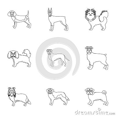 Dachshund, laika, poodle and other web icon in outline style.Boxer, rottweiler, bulldog, icons in set collection. Vector Illustration