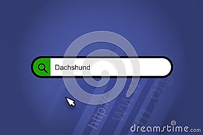 Dachshund - search engine, search bar with blue background Stock Photo