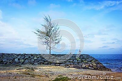 dad and son standing at the sea in the evenin Stock Photo