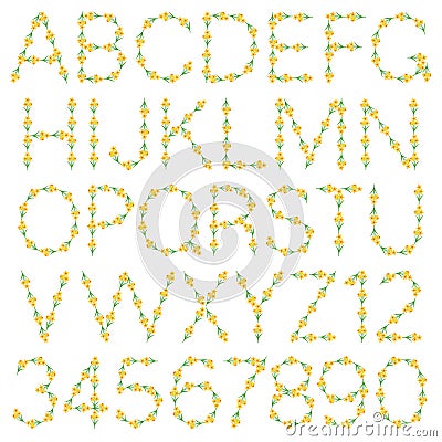 Daffodil floral vector alphabet Vector Illustration