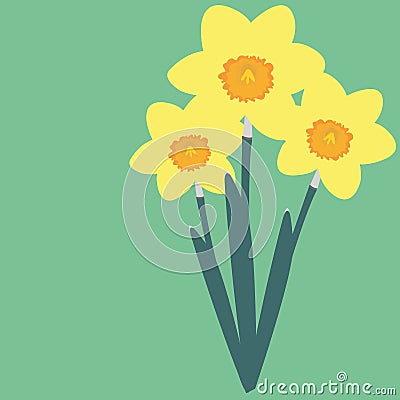 Daffodil Vector Illustration