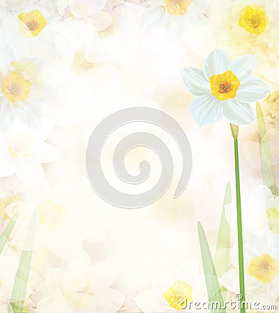 Daffodil flowers. Abstract, floral, bokeh background. Illustration Stock Photo