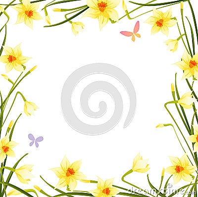 Daffodil frame Vector Illustration