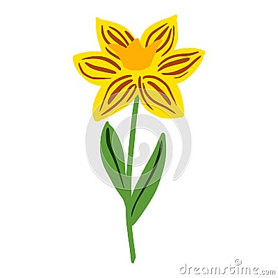 Daffodil isolated on white background. Beautiful hand drawn botanical sketch flower for any purpose Vector Illustration