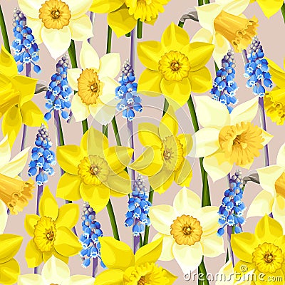 Daffodil and muscari vector seamless background Vector Illustration