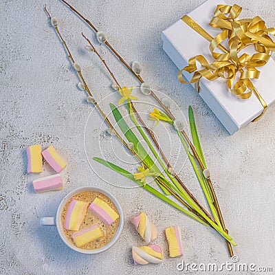 Daffodils, pussy willow, white cork with a gift, Czech woman with coffee and sweets. Layout on gray background. Postcard Stock Photo