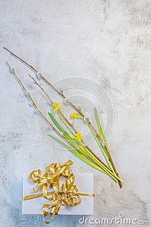 Daffodils, pussy willow, white crab with a gift on a gray background. Postcard with spring holidays, easter, 8 march Stock Photo