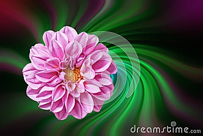 Dahlia against a colorful abstract background Stock Photo