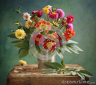 Dahlia bouquet Stock Photo