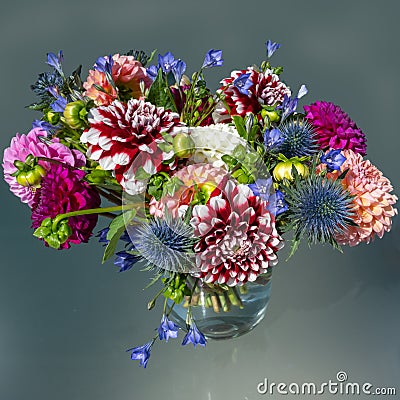 Dahlia flower bouquet with blue thistles and African lilies in vibrant colors, summer flowers in arrangement. Stock Photo