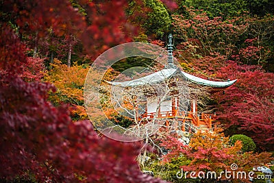 Daigoji temple in maple trees, momiji season, Kyoto, Japan Stock Photo