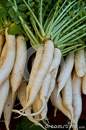 Daikon Radishes Stock Photo