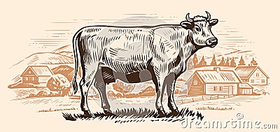 Dairy cow is grazing in meadow near farm. Hand drawn graphic rural landscape. Milk farm, sketch vector illustration Vector Illustration