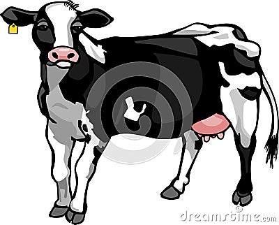 Dairy Cow Vector Illustration