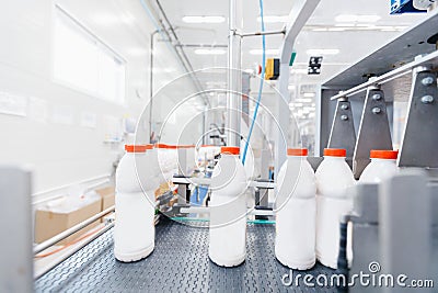 Dairy factory industry, automatic conveyor for transporting milk bottles Stock Photo