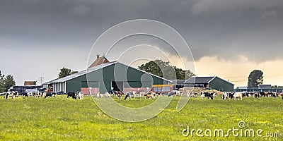 Dairy farm on dutch countryside Stock Photo