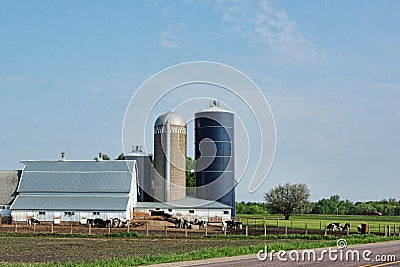 Dairy Farm 2 Stock Photo