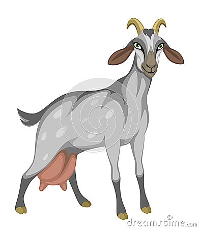 Dairy gray funny goat Vector Illustration