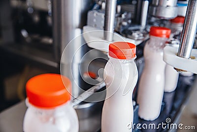 Dairy production, bottle of yoghurt on automated conveyor line, process of milk filling and packaging Stock Photo