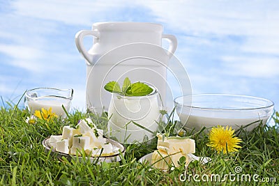 Dairy products on the grass Stock Photo