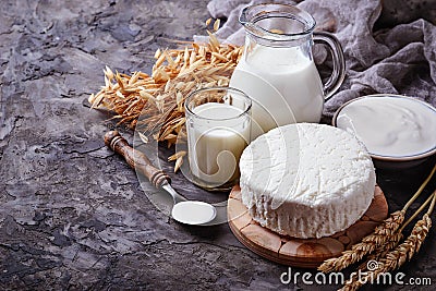 Dairy products milk, cottage cheese, sour cream and wheat Stock Photo