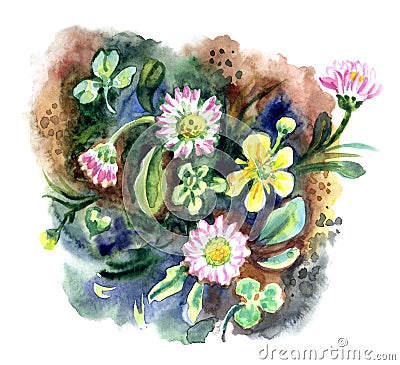 Daisies and buttercups, watercolor illustration Cartoon Illustration