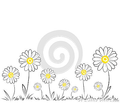 Daisies on white background Vector Illustration