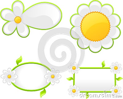 Daisy banner Vector Illustration