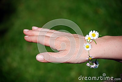 Daisy chain bracelet Stock Photo