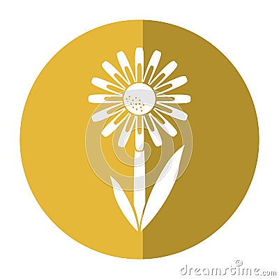 Daisy floral garden spring shadow Vector Illustration