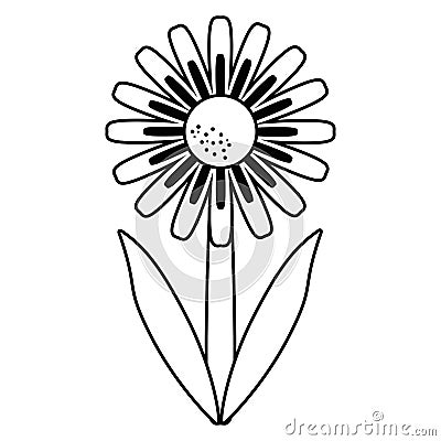 Daisy floral garden spring thin line Vector Illustration