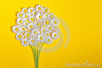 Daisy flower bouquet on yellow background Stock Photo