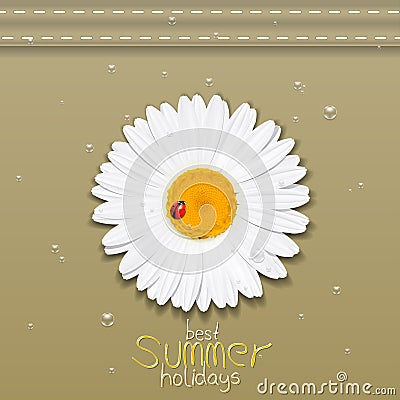 Daisy flower. Chamomile. Best Summer holidays Vector Illustration