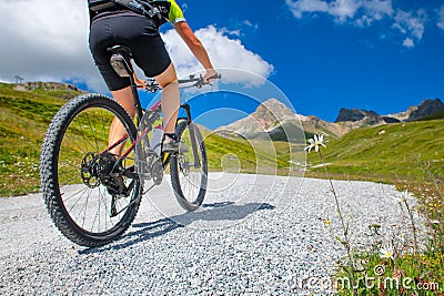 Daisy flower beside a mountain road with a biker passing in mountan bike Stock Photo