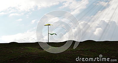 Daisy flower radiated with sunlight on the horizon of a meadow. Cartoon Illustration