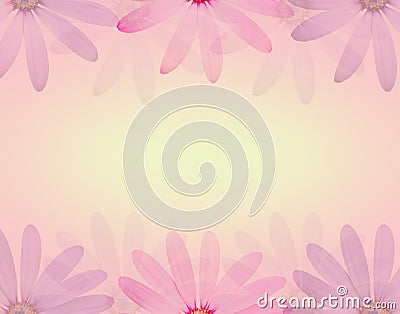 Daisy flower in soft sweet color and blur style texture background Stock Photo