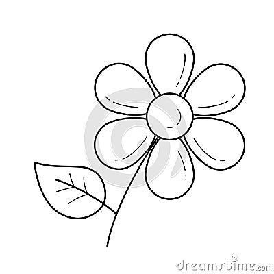 Daisy flower vector line icon. Vector Illustration