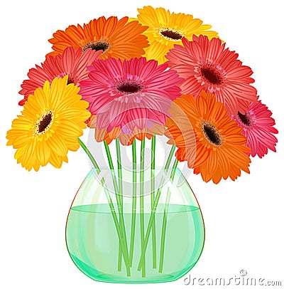 Daisy gerbera flower bouquet in glass vase Vector Illustration