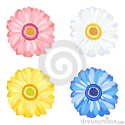 Daisy Gerbera Flowers Vector Illustration