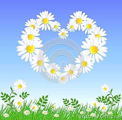 Daisy heart Vector Illustration