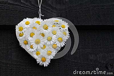 Daisy Heart on Black Stock Photo